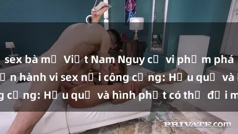 sex bà mẹ Việt Nam Nguy cơ vi phạm pháp luật khi thực hiện hành vi sex nơi công cộng: Hậu quả và hình phạt có thể đối mặt